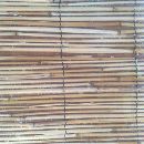 Bambu Cerca
